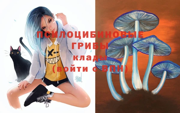 меф Армянск