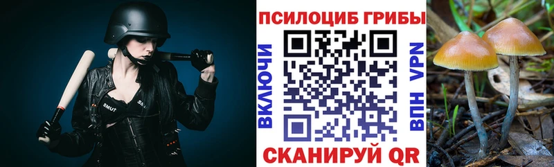 Галлюциногенные грибы GOLDEN TEACHER мориарти Telegram Мещовск